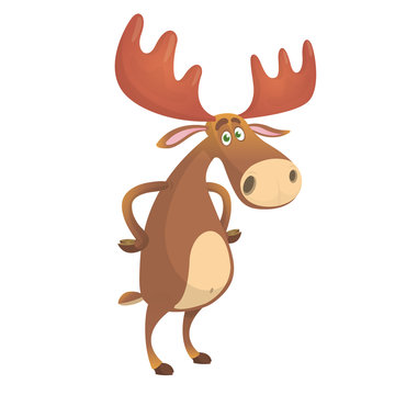 Cool carton moose. Vector illustration isolated