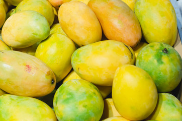 stacked mangoes for retail sale