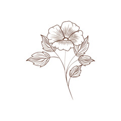 beautiful flowers with leafs isolated icon