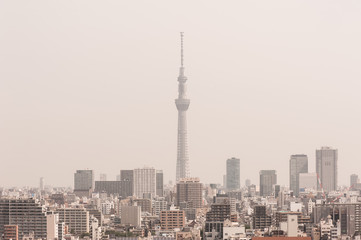 Fototapeta na wymiar Aerial photography of Tokyo Skytree . Tokyo, Japan 