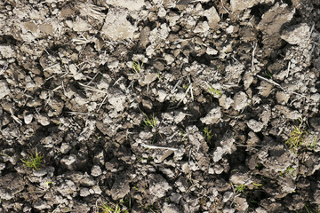 土のテクスチャ