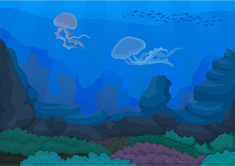 Jellyfish under water. Ocean and underwater world.
