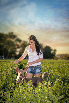 Young woman in the countryside playing with her dogs in an open green field at sunset and a dramatic sky