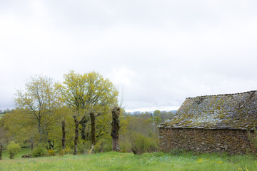 Obraz premium 朽ち果てた小屋