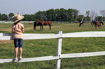 child with cowboy hat watching the horses on the farm