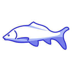 Fish carp icon.Flat blue vector line art.