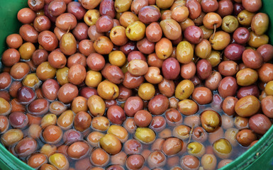 green olives and health