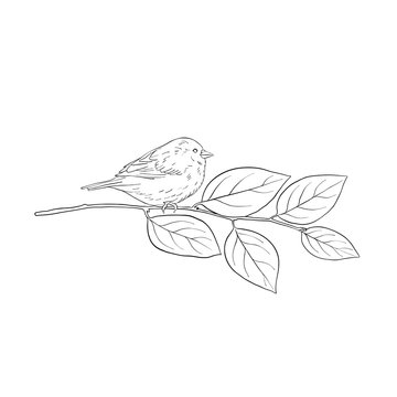 recommend clip art: bird at tree branch
