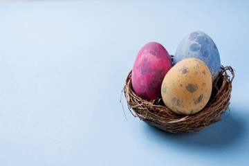 Colorful easter egg in the nest on blue background with copy space. Easter background. Minimalism