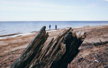 couple on the beach with driftwood on the front