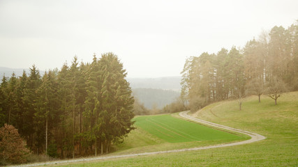 Fototapeta na wymiar blick auf Feldweg im Schwarzwald an einem nebligen trübem Morgen