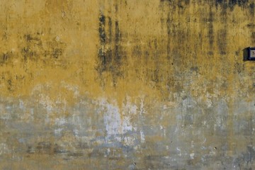 Hoians Yellow