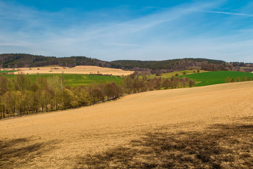 Fototapeta na wymiar Spring field and meadow with trees, Czech landscape