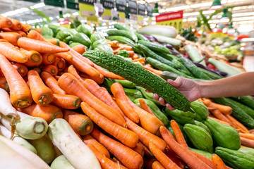 Woman hand with zucchini. Vegetable background, fresh and shiny organic zucchinis or courgettes on a local food market, Bali island.