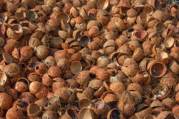 empty coconut shells piled up. raw material for activated charcoal for industrial fuel and beauty application.empty coconut bowls.