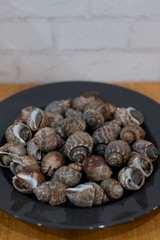 Grilled Spiral babylon snail on plateใ The famous thai street seafood.