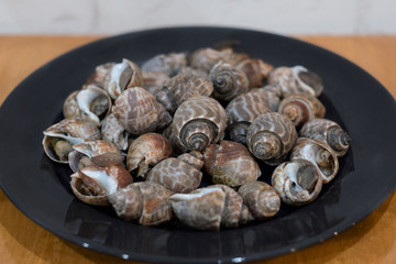 Grilled Spiral babylon snail on plateใ The famous thai street seafood.