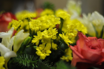bouquet of flowers