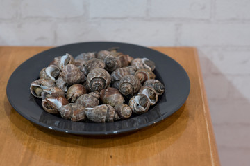 Grilled Spiral babylon snail on plateใ The famous thai street seafood.