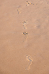 beach, wave and footsteps