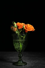 Vase with beautiful flowers on dark background