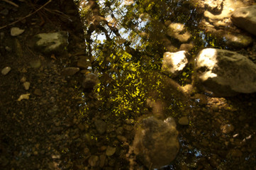 reflections on the water