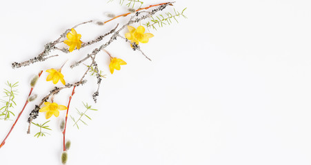 Obraz premium Festive flower composition on the white wooden background. Overhead view
