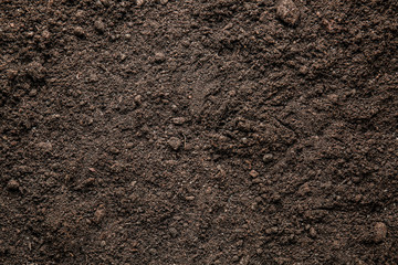 Heap of soil, closeup