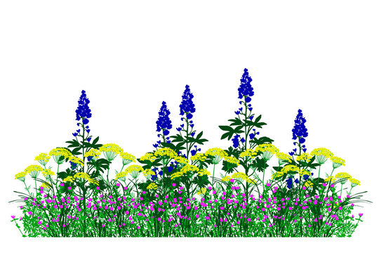 Garden landscapes, summer and spring flower bed, vector illustration
