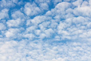 Blue sky filled with beautiful fluffy clouds.