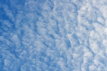 Fototapeta na wymiar Blue sky filled with beautiful fluffy clouds.