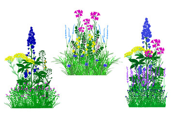 flowerbed set with flowers,summer fresh flowers,vector illustration