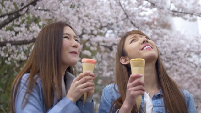 Two beautiful Japanese friends eating delicious street food in Japanese cherry blossom park, 4K
