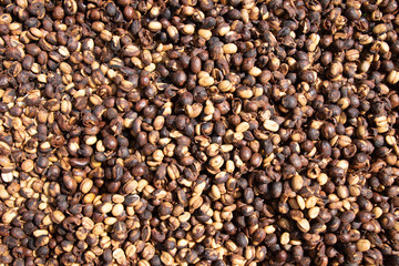Coffee beans background.Brown roasted coffee beans pattern in coffee shop prepared for making cappuccino or latte hot drink.