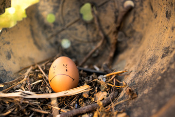 Close up of eggs with drawn funny faces on straw.