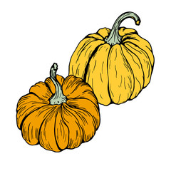 logo pumpkin