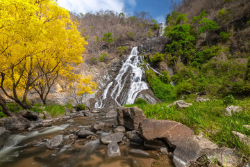 Obraz premium Tao Dam waterfall, the beautiful waterfall in deep forest at Klong Wang Chao national park ,Kamphaeng Phet, Thailand