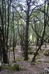 Mallorca