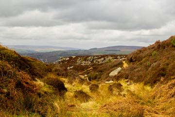 Fototapeta premium Golden Moorland
