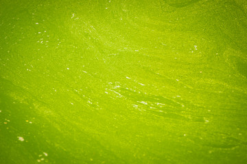 agua verde
