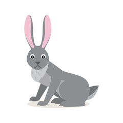 Fototapeta na wymiar Cute gray rabbit hare isolated on white background