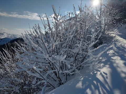 Paisaje de invierno con monta&ntilde;as y &aacute;rboles cargados de nieve en pueblo de Parva Transilvania Ruman&iacute;a
