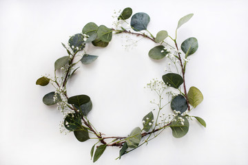 Eucalyptus leaves on white background. Wreath made of eucalyptus branches and gypsophila. Flat lay