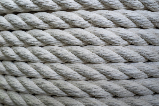 The thick rope twisted in a roll. A white long rope for wide use