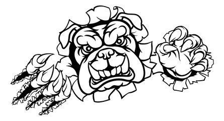 A mean bulldog dog angry animal sports mascot cartoon character ripping through the background