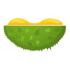 Fresh half durian icon. Cartoon of fresh half durian vector icon for web design isolated on white background