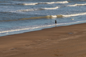 Lone boy standing on the beach with his feet in the sea