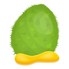 Exotic durian icon. Cartoon of exotic durian vector icon for web design isolated on white background