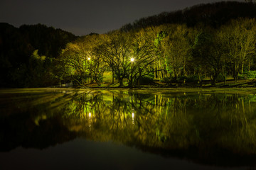 街灯で照らされた樹木が映りこんだ池