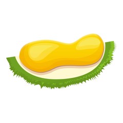 Seed durian slice icon. Cartoon of seed durian slice vector icon for web design isolated on white background